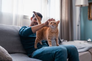 スキンシップはペットに任せても◎（写真:iStock）