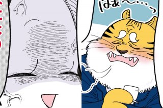 コミ、トラ見沢さん（漫画:おくげちゃん）