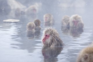 みんなで気持ちよく（写真:iStock）