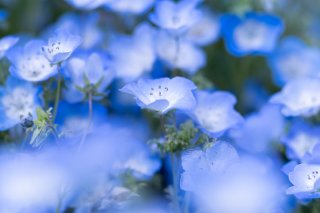 日当たりは気にしてあげて（写真:iStock）