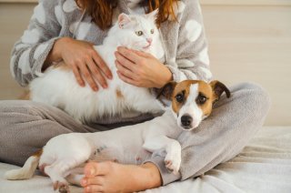 もこもこ素材に癒される（写真:iStock）