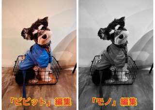 写真を編集後に「ビビット」と「モノ」のフィルターを使用