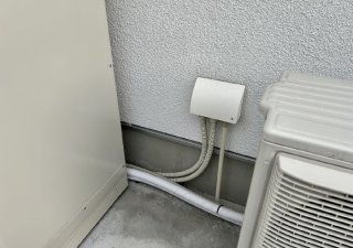 使われていない室外機の中に巣をつくることも… （C）コクハク