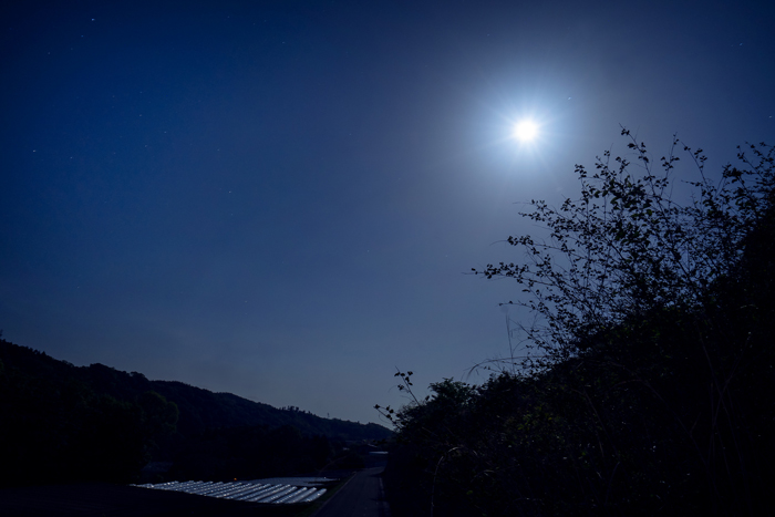春の白州に蒼い月がのぼる（写真:Koji Takano）