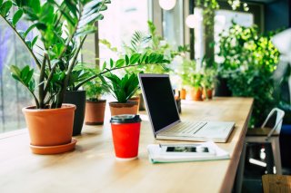 植物に囲まれて生活する（写真:iStock）