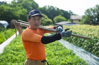 さあ！ 今日も働きますか！！（写真:Koji Takano、無断転載禁止・以下同）