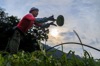 この瞬間のために生きているような表情（写真:Koji Takano、無断転載禁止・以下同）