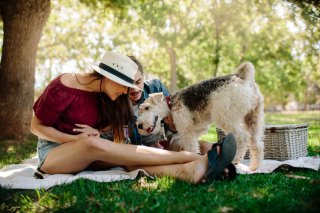 人間の恋も忘れずに（写真:iStock）