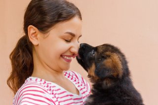 いっそ犬ならよかったのに？（写真:iStock）