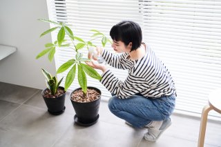 自分軸でいいんじゃない？（写真:iStock）
