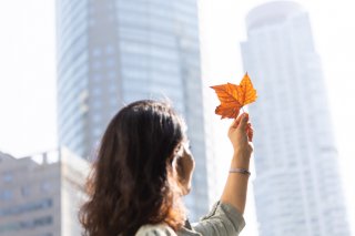 （写真:iStock）