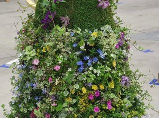 奇跡の吸水スポンジが園芸の可能性を拡げたらこんなのができちゃった（写真・製作:「花武」荒木聡）