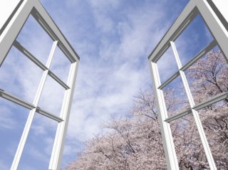 春になれば美しい桜が（写真:iStock）