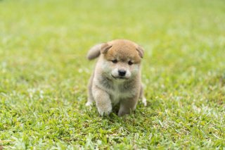 にきゅめない（写真:iStock）