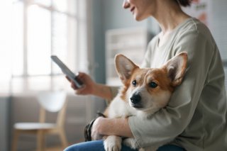 普段からやり取りもしているし（写真:iStock）