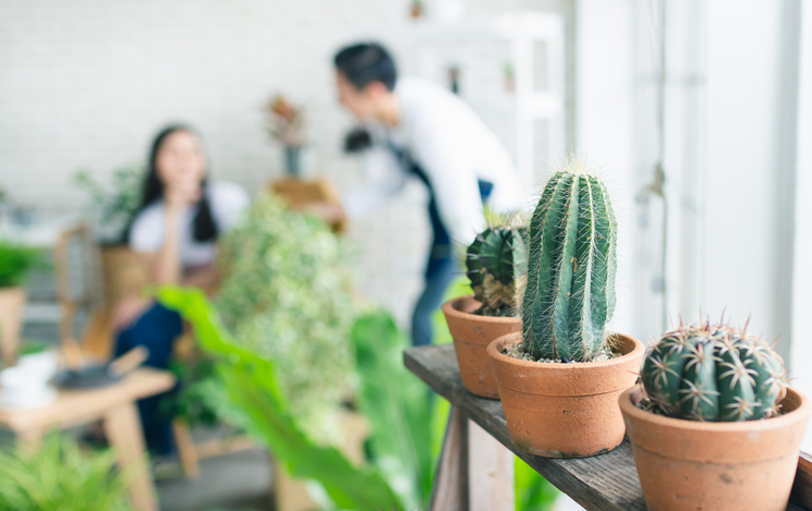 彼の趣味に付き合ってみる（写真:iStock）