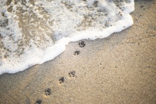 出会ってくれてありがとう（写真:iStock）