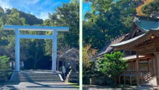 安房神社の鳥居（写真:canちゃん）