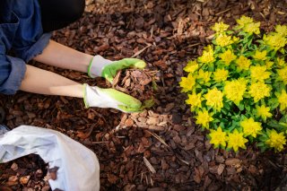 木のチップで見た目もおしゃれに（写真:iStock）