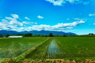 のどかな場所かもしれないけれど（写真:iStock）