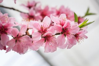 健康で素晴らしい日々を！（写真:iStock）