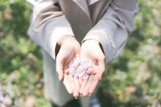 春は「リセット」の季節（写真:iStock）