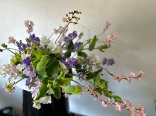 金運アップの花と一緒に効くとええなぁ byさぶ店長／無断転載禁止（C）コクハク