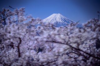 富士山の眺めが日本一美しい街