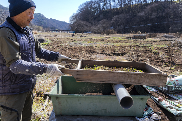 時間をかけて松皮を熟成してできた土を篩にかける（写真:Koji Takano）