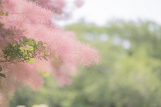 まるで意思を持っているみたい（写真:iStock）