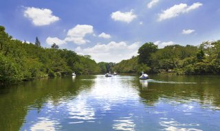 若者やファミリーが集まる井の頭恩賜公園（写真:iStock）