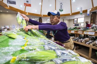 朝採りホワイトコーン「白蜜の甘極」を道の駅はくしゅうに並べる（写真:Koji Takano／無断転載禁止）