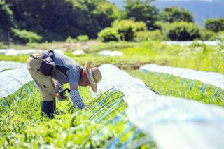 やることが増える一方でも手抜きはできない性分（写真:Koji Takano／無断転載禁止）