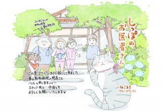 ほっこり癒し漫画／第78回「グリーングリーン」