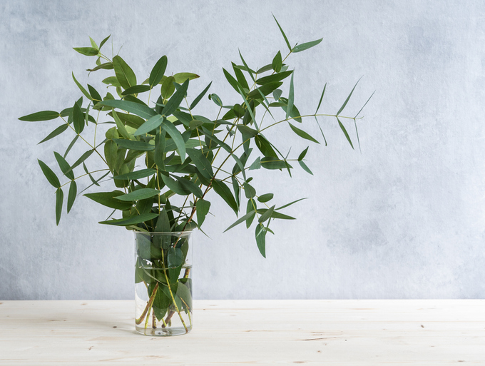 フレッシュな香りを長く楽しめる（写真:iStock）