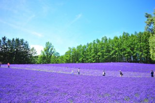 気分だけでも♪（写真:iStock）