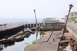 記憶鮮明な阪神・淡路大震災発生前夜の“異変”。冬眠モードのカメが突然大騒ぎして…