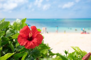 沖縄へ（写真:iStock）