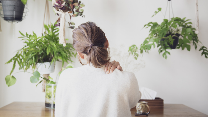 だるおも（写真:iStock）