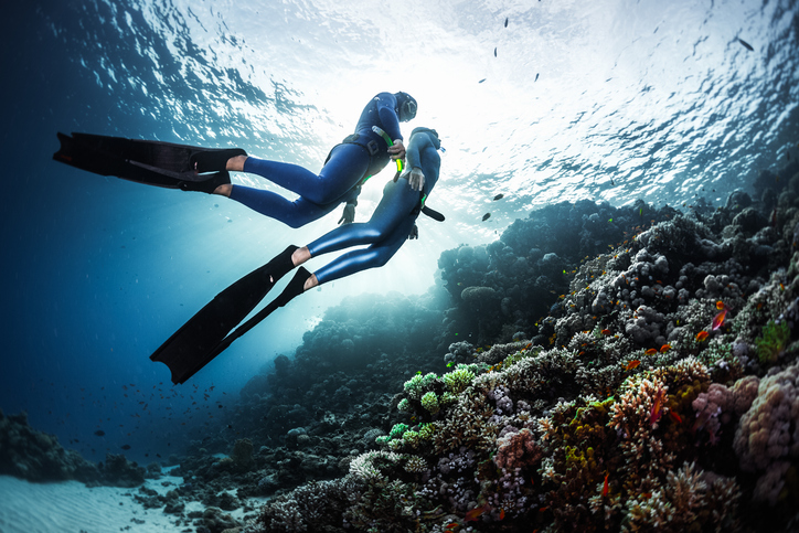 南の海へGO！（写真:iStock）