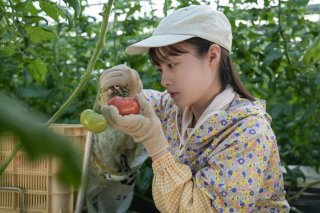 第6週前半、結の台詞とウジウジ、大女優の歩さん問題…雑過ぎの残念過ぎ