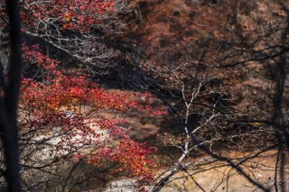 静謐な深い山の中