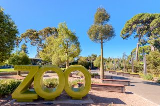 動物園楽しいよね（写真:iStock）