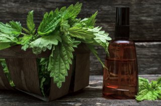 植物性のヘアオイルを（写真:iStock）