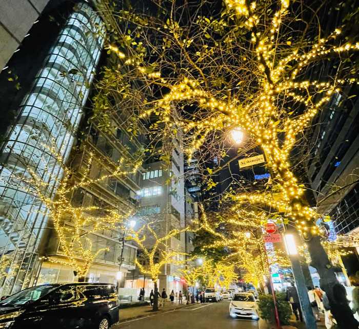 世の中の商店会はキラッキラ。でもうちの商店会はやっと水銀灯からLEDへの工事中。なんでそういう時代遅れの工事、クリスマスになっちゃうかなー。（写真:フィッシュバーン真也子、無断転載禁止）