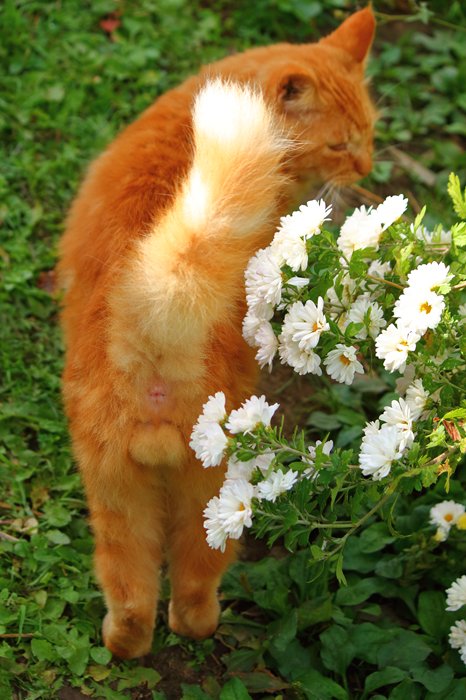 （写真:芳澤ルミ子）