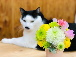 「花屋で売っている花」と「スーパーで売っている花」意外と知られていない一番の違いとは？