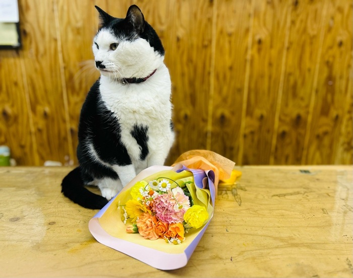 専門店で1000円チョイぐらいの花束はこんな感じやな byさぶ店長／無断転載禁止 （C）コクハク