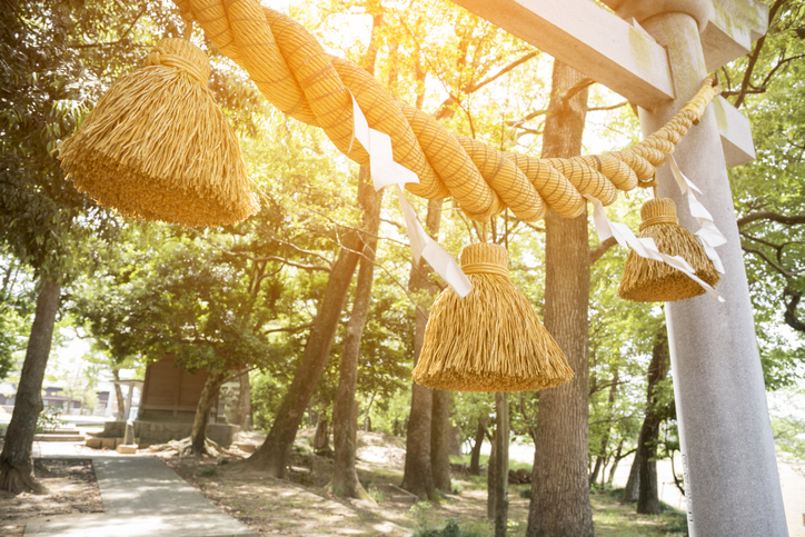 新年早々、しょんぼり…（写真:iStock）