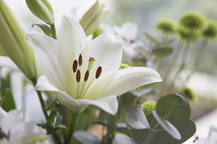 テンション上がる！（写真:iStock）